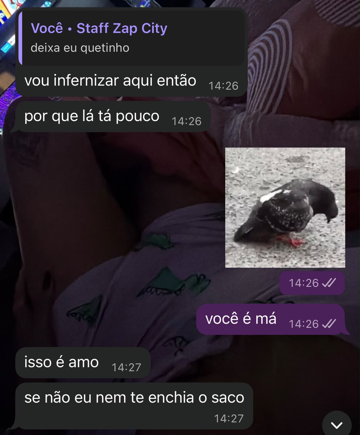Conversa divertida do casal